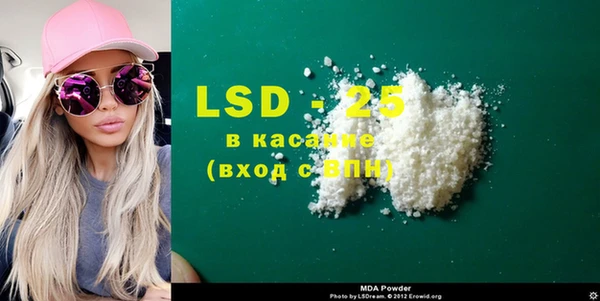 прущие грибы Волосово