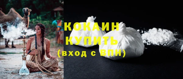 прущие грибы Волосово