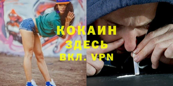 прущие грибы Волосово
