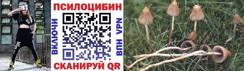 Псилоцибиновые грибы ЛСД  где купить наркоту  Гагарин 